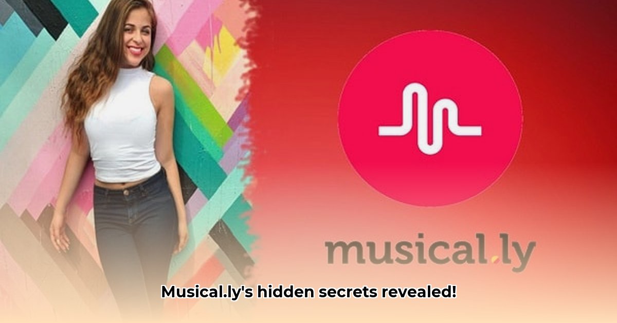 apk-musically